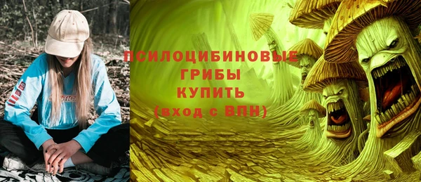 2c-b Нязепетровск