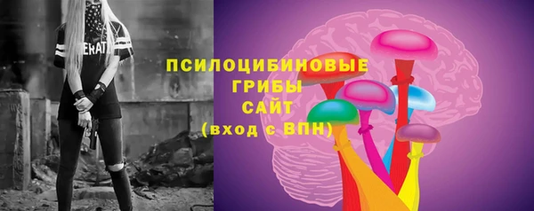 spice Няндома