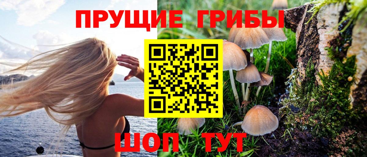 Братск  Псилоцибиновые грибы MAGIC MUSHROOMS  Вход с VPN  Псилоцибиновые грибы мухоморы 