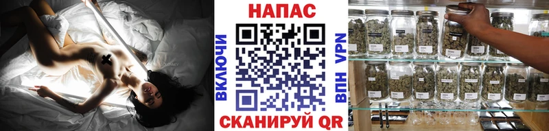 цены   Братск  МАРИХУАНА сатива 